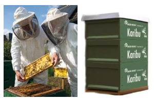 Karibu Bienenstock