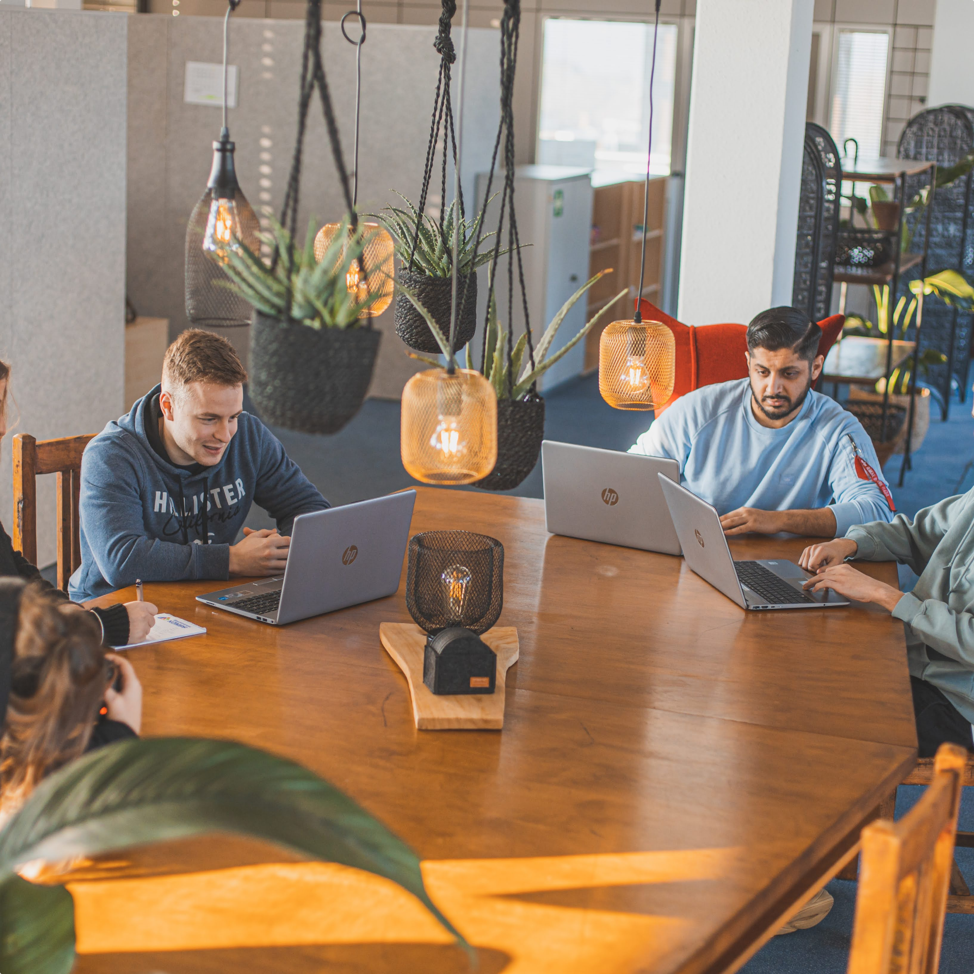 Bild von Entwicklung