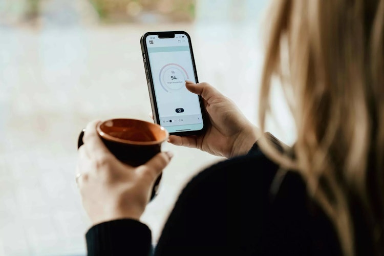 Karibu 9 kW Saunaofen finnisch anthrazit inkl. Huum WLAN Steuergerät mit App-Steuerung